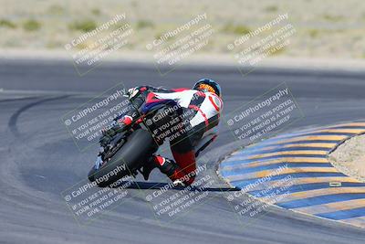 media/Apr-14-2024-SoCal Trackdays (Sun) [[70f97d3d4f]]/2-Turn 11 Backside (935am)/